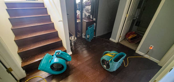  Marion, PA Water damage restoration Pros