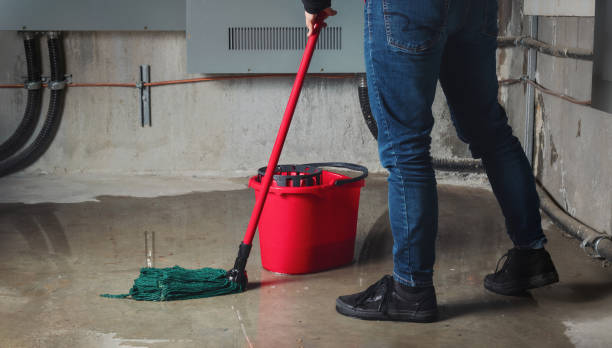 Best Fire Damage Restoration  in Marion, PA