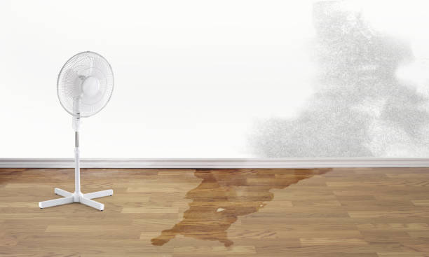 Best Water damage contractors near me  in Marion, PA