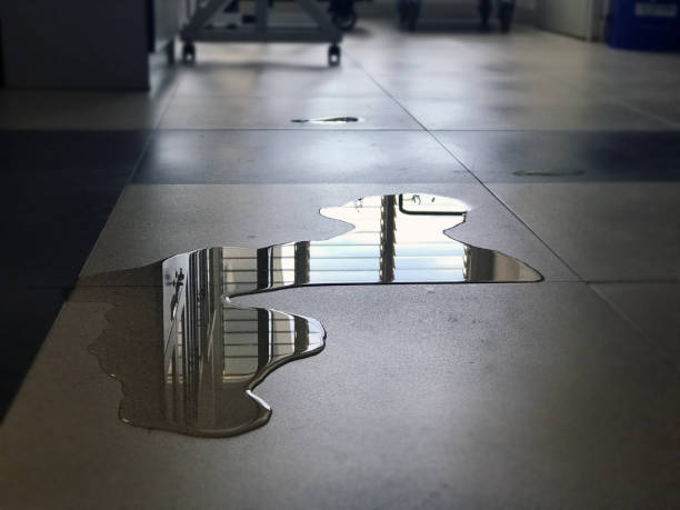 Best Water damage restoration specialists  in Marion, PA