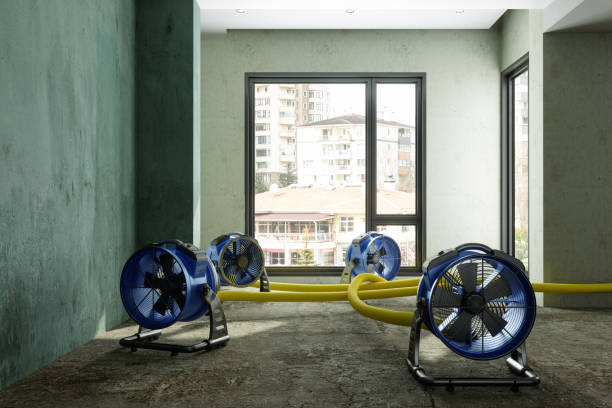 Best 24-hour water damage restoration  in Marion, PA